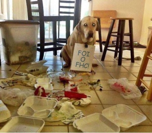 piada Dilma - foi o FHC - Cachorro - piada com labrador