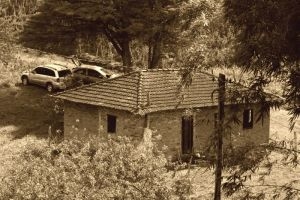 vendo sitio - Olavo Bilac - BR