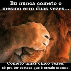 piada sobre erro