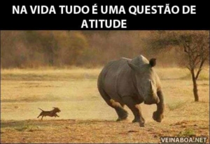 atitude