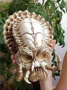 Cranio Predador Hiperrealista (8)