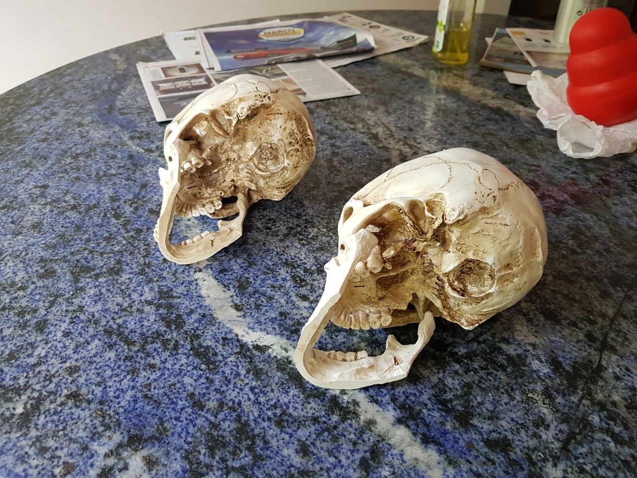 caveira em resina - cranio realista (3)