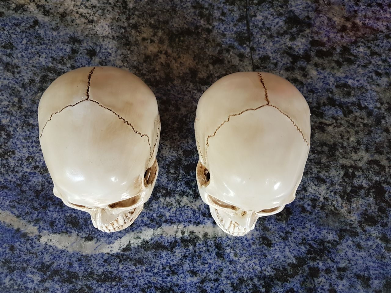 caveira em resina - cranio realista (4)