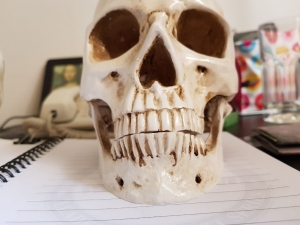 caveira em resina - cranio realista (8)