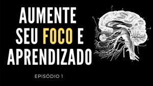 foco e aprendizado neurociencias