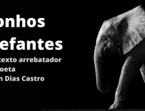 Sonhos elefantes, texto ARREBATADOR de Allan Dias Castro