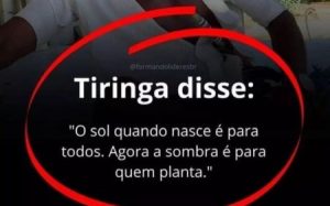 o que você anda plantando -